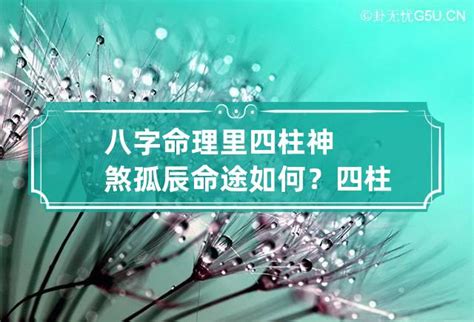 神煞 孤辰|八字中孤辰寡宿是什么意思 八字带孤辰寡宿怎么看